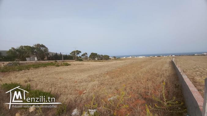 A vendre des lots de terrains à El haouaria nabeul