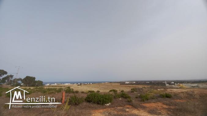 A vendre des lots de terrains à El haouaria nabeul