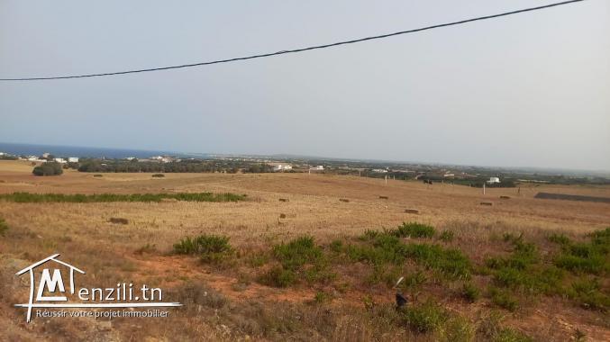A vendre des lots de terrains à El haouaria nabeul
