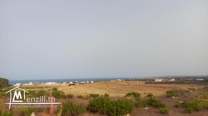 A vendre des lots de terrains à El haouaria nabeul