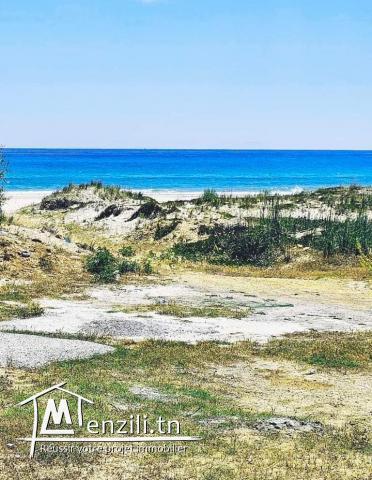 terrain les pieds dans l'eau a plage ezahra kelibia