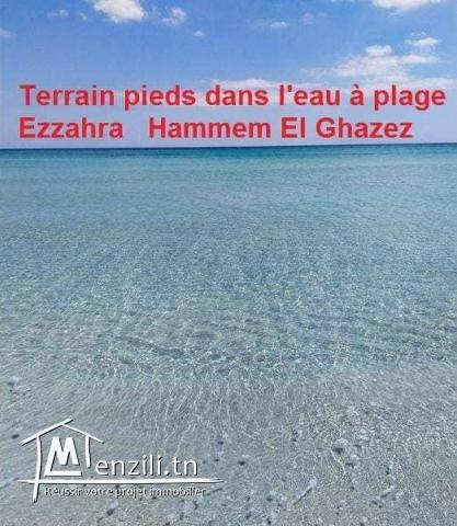 terrain les pieds dans l'eau a plage ezahra kelibia