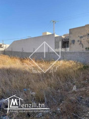 Terrain à  vendre  de superficie 550m2 situé à l’mnihla 
