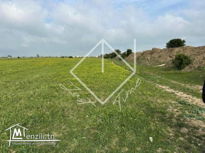 Terrain a sidi thabet a vendre 