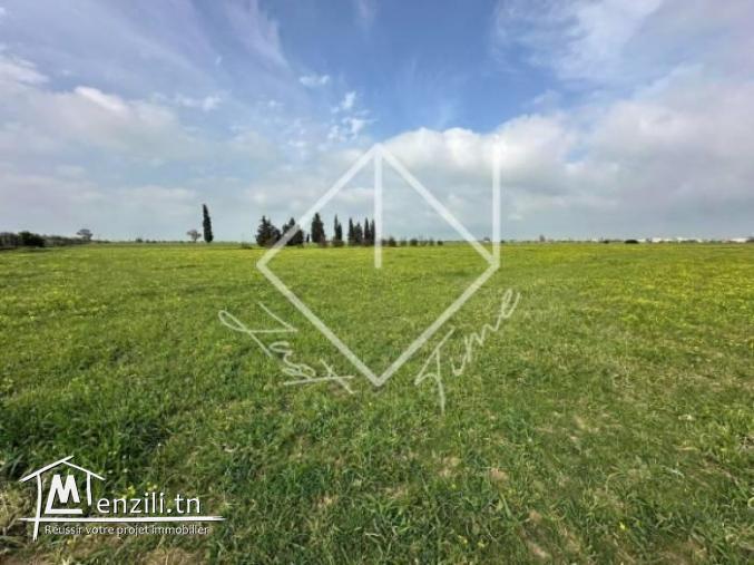 Terrain a sidi thabet a vendre 
