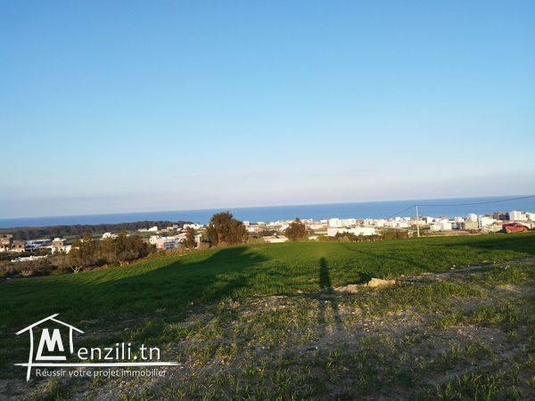 terrain avec vue panoramique