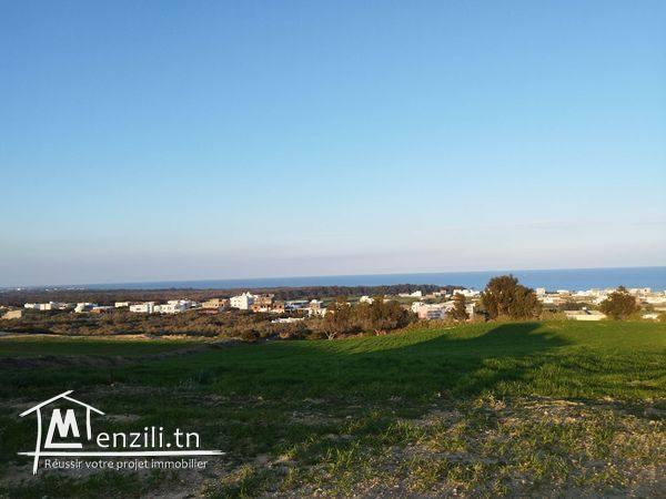 terrain avec vue panoramique