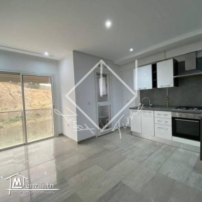 appartement S1 à louer