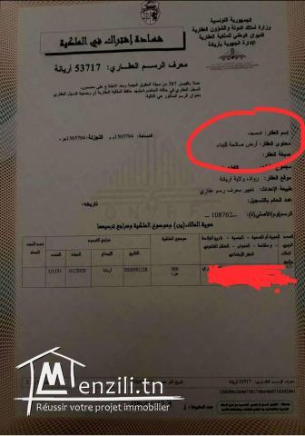 lot de terrain à Raoued plage a vendre