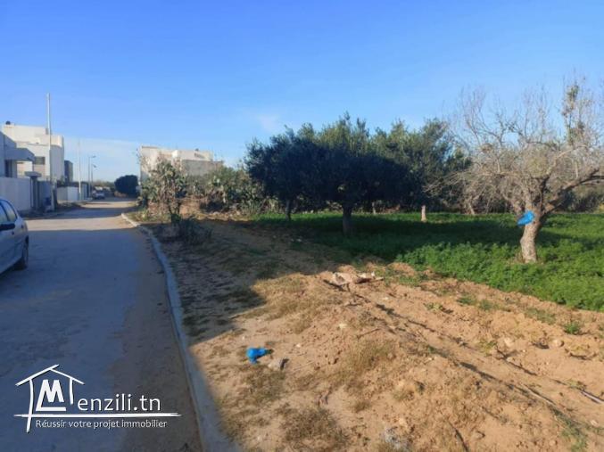 Terrain Constructible à Vendre à Jinene Beni Khiar, Nabeul
