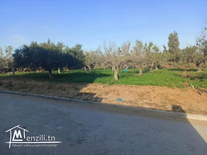 Terrain Constructible à Vendre à Jinene Beni Khiar, Nabeul