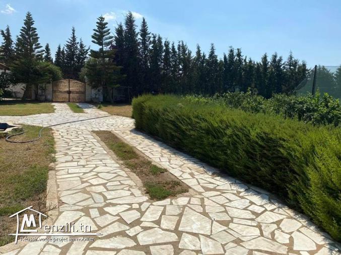 Senia avec maison prix negociable