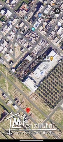 Terrain à Douar El Houch