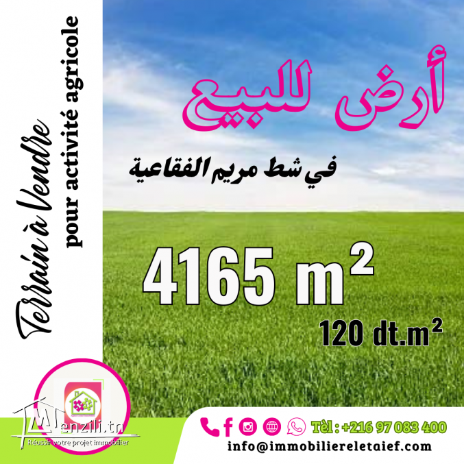 Terrain De 4165m² àFoukaia sur la route goudronnée foukaia