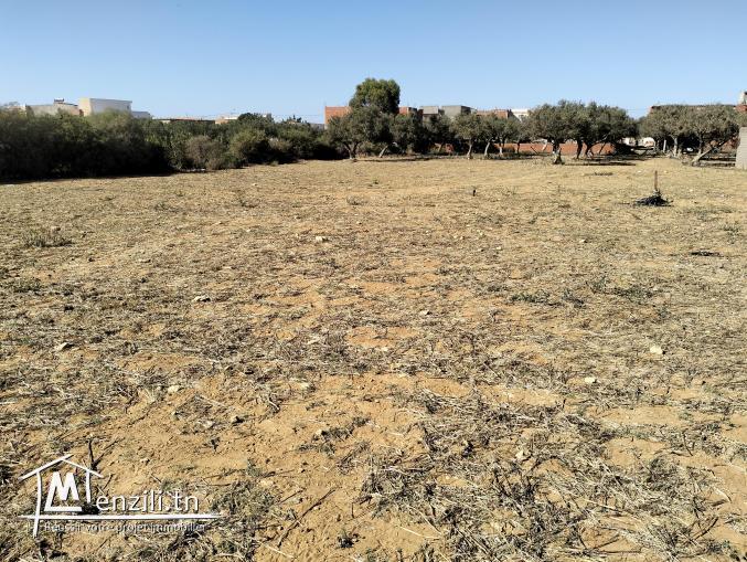 Terrain résidentiel