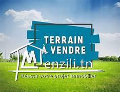 ارض للبيع ببنزرت بهنشير الماثلين