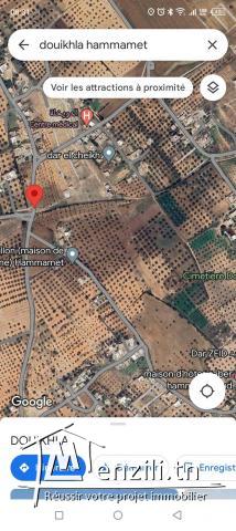 للبيع ارض في الدويخلة