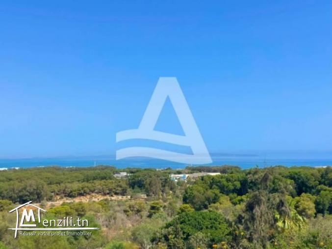 Location d'un duplex meublé avec terrasse à Gammarth