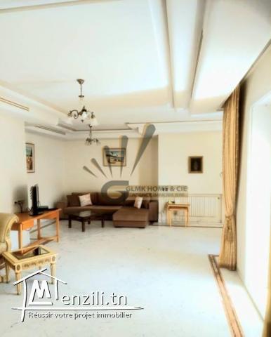 S3  meublé au cœur du lac 2