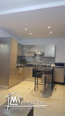 À Louer ( par jour) un appartement S1 situé à Résidence  Palme Lake Resort  Folla Monastir