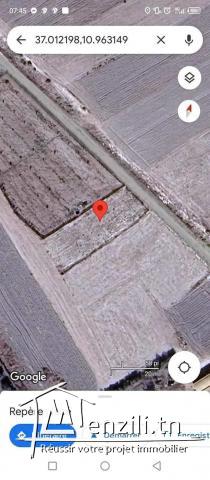 للبيع أرض في الهوارية