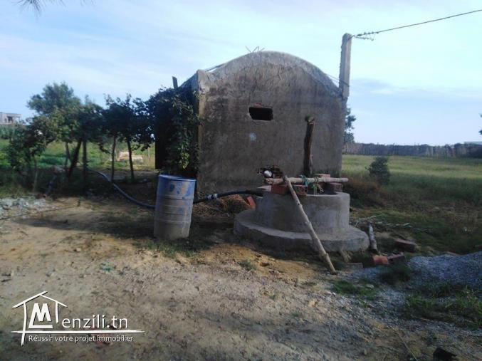 A vendre terrain agricole de 17000m2 a kelibia