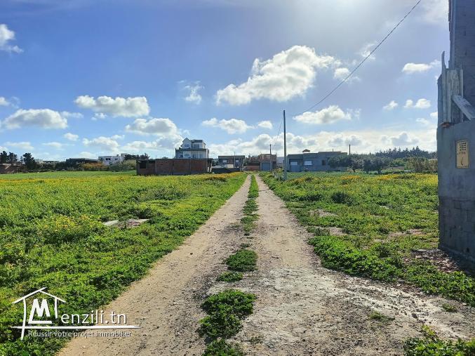 Terrain à vendre a dar allouche près de la plage