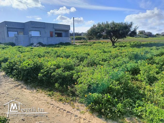 Terrain à vendre a dar allouche près de la plage
