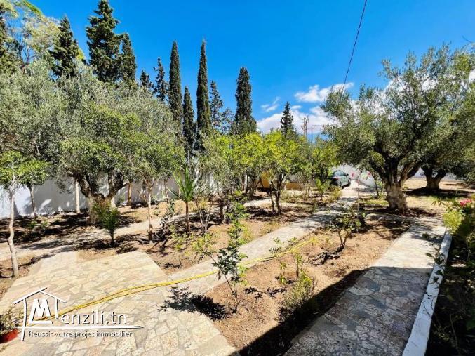 L452 Maison FAF BIR BOUREGBA