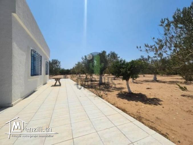 À vendre Terrain agricole de 10600 m² à Daroufa  Nabeul.