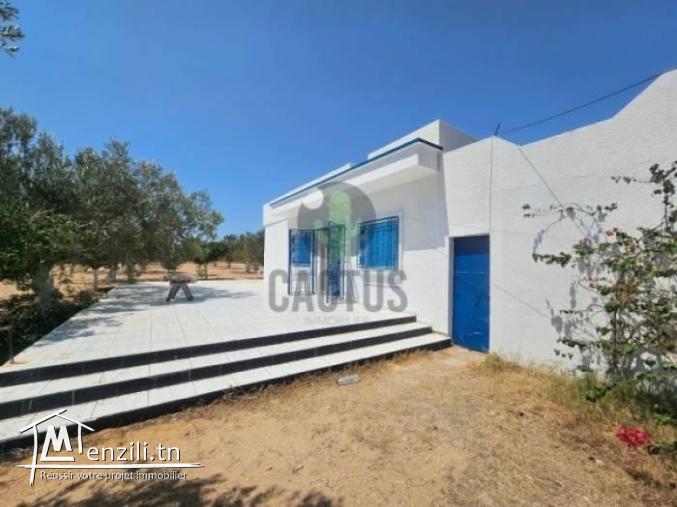 À vendre Terrain agricole de 10600 m² à Daroufa  Nabeul.