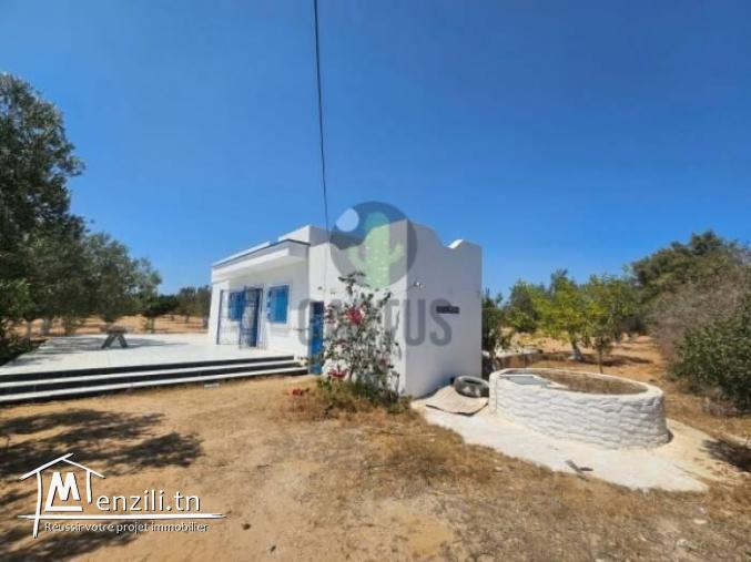 À vendre Terrain agricole de 10600 m² à Daroufa  Nabeul.