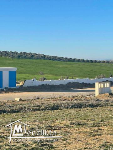 A vendre terrain jardin de tunis afh manouba