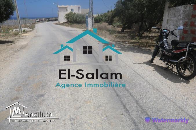 maison arab a vendre situé a el houaria vu panoramique a la plage