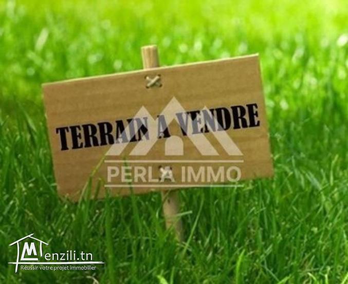 Terrain 403m Carthage Salambo