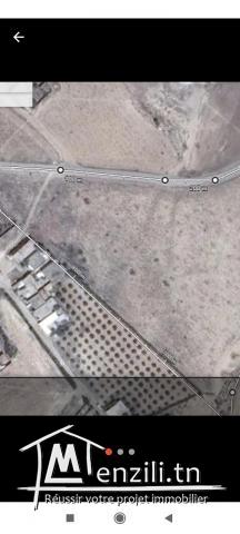 Terrain constructible