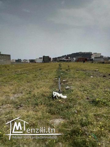 vente d'un lot de terre a kélibia