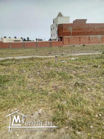 vente d'un lot de terre a kélibia