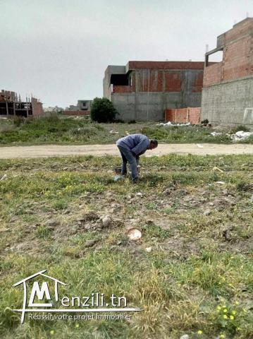 vente d'un lot de terre a kélibia