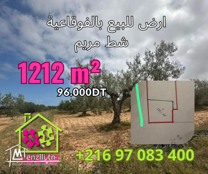 Terrain Agricole  de 1212 m2 a Foukaia Chott meriem