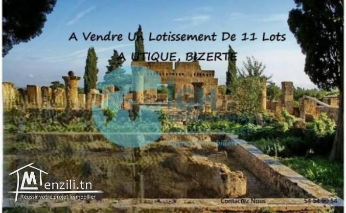 VENTE D’UN LOTISSEMENT DE 11 LOTS À UTIQUE BIZERTE