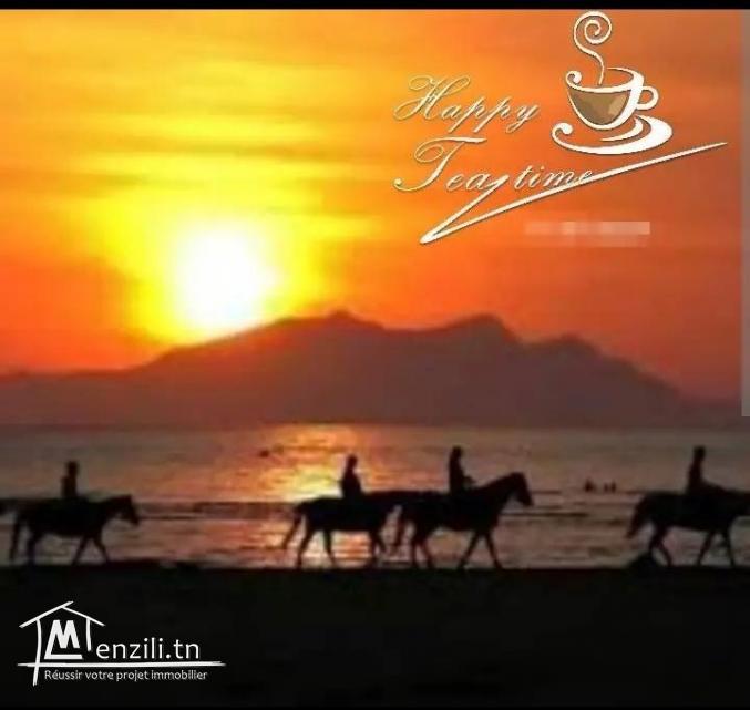 استثمار في الهوارية شهادة ملكية