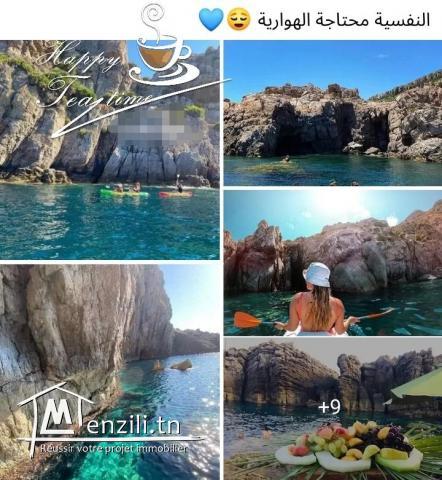 استثمار في الهوارية شهادة ملكية