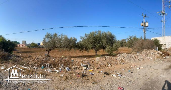 Terrain de 1912m a vendre a korba