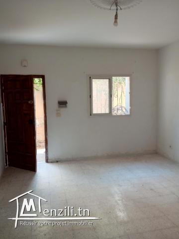 Rez-de-chaussée s+2