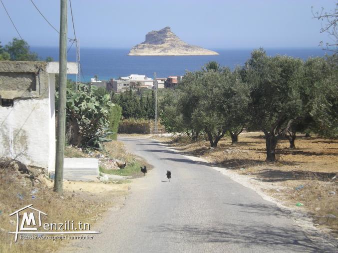 Terrain à Rafraf proche de la mer