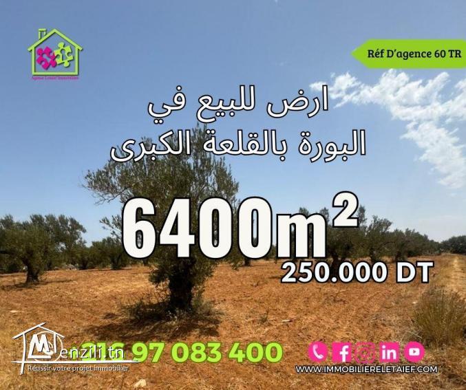 Terrain de #6400m² à KalaKbirade250.000dt