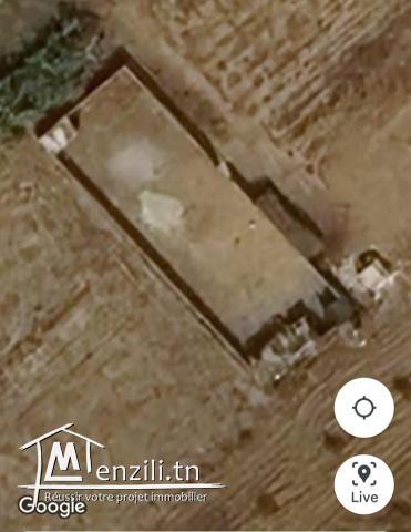 Terrain à Dar Allouche à 400 mètres de la plage