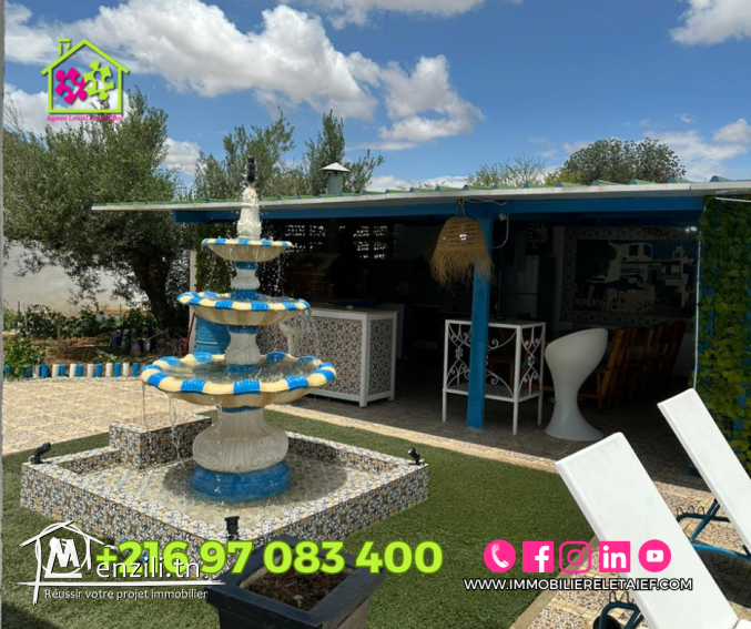 Terrain   de 5000m²#kalaa_ekbiraa