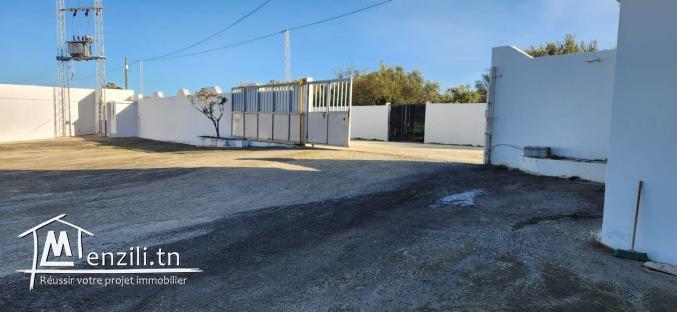 Opportunité Exceptionnelle : Usine à Vendre à Ras Jbel, Bizerte